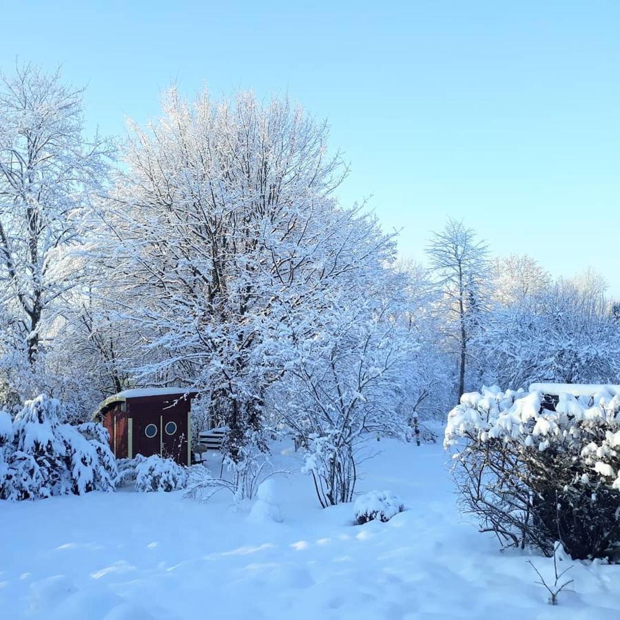 #Staywild29 - Gemuetliche Ferienwohnung Im Allgaeu Kempten Eksteriør billede